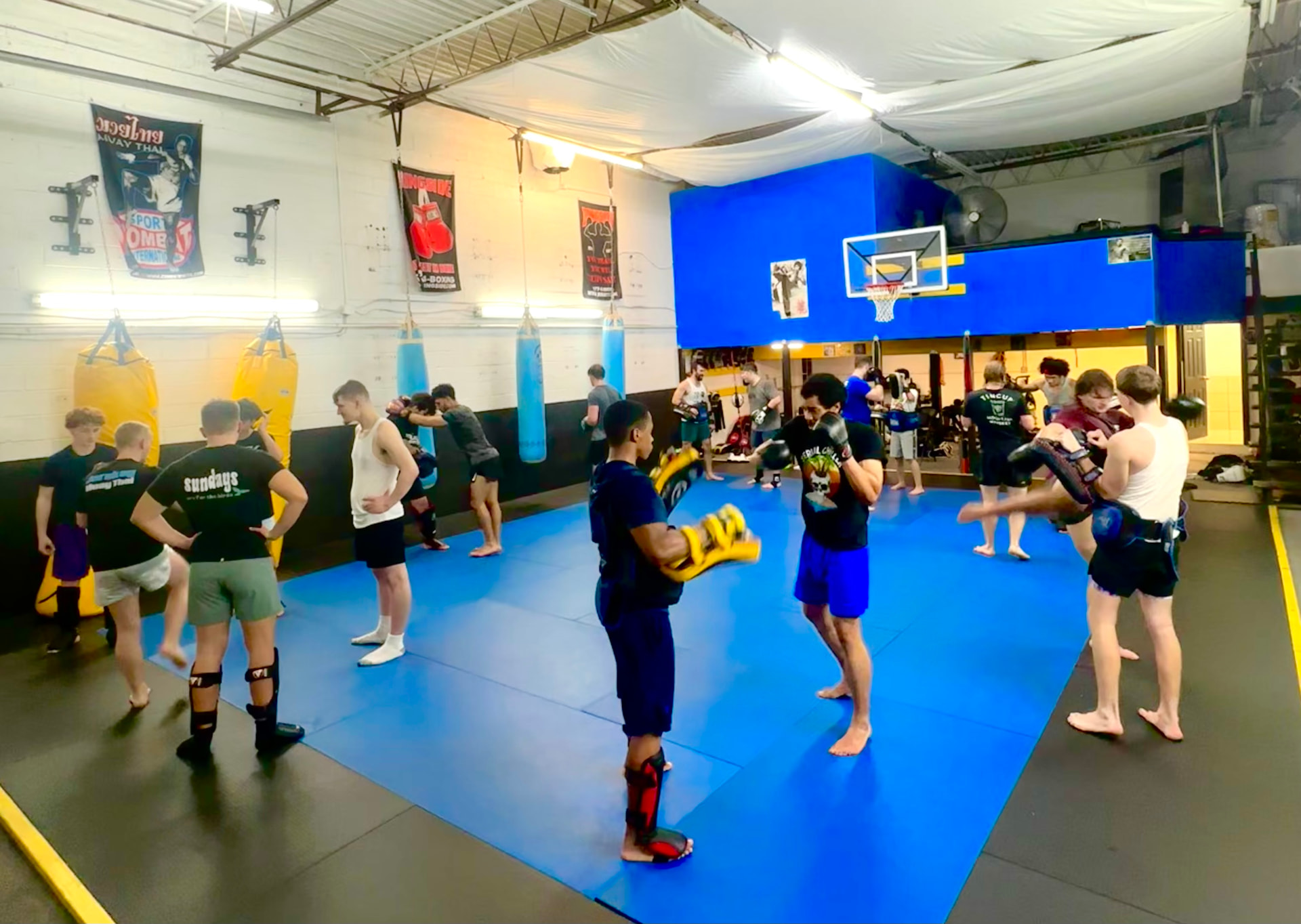 Group training session in the gym