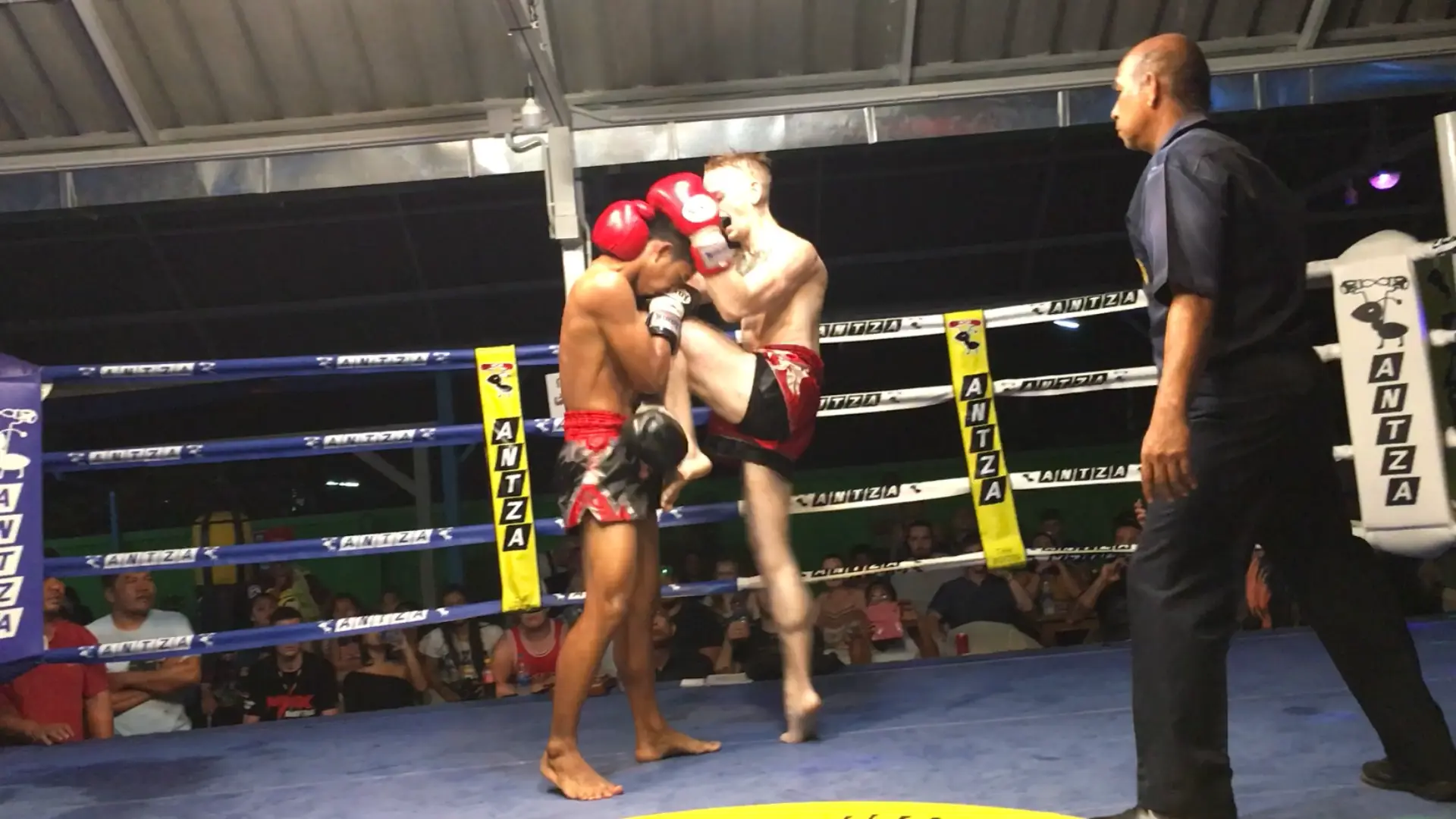 Muay Thai knee strike during a bout