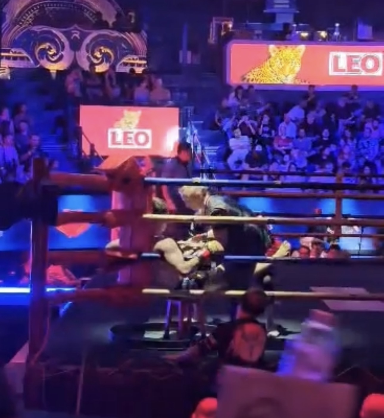 Muay Thai fight in the ring under the lights
